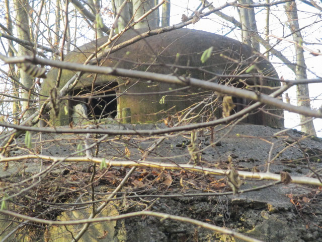 Ligne Maginot - HAUTE RIVE - C5 - (Casemate d'infanterie - double) - Cloche;