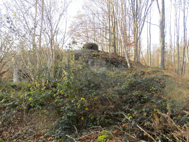 Ligne Maginot - HAUTE RIVE - C5 - (Casemate d'infanterie - double) - 