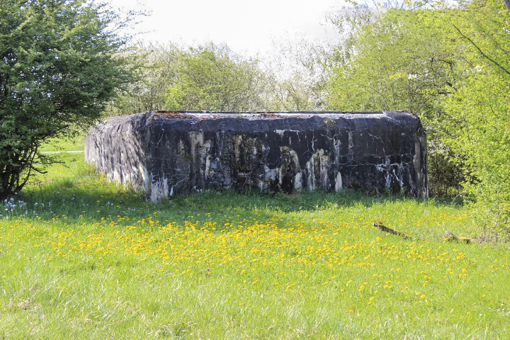 Ligne Maginot - M113N - LA BARRIERE 2 - (Blockhaus pour arme infanterie) - La façade coté créneau FM