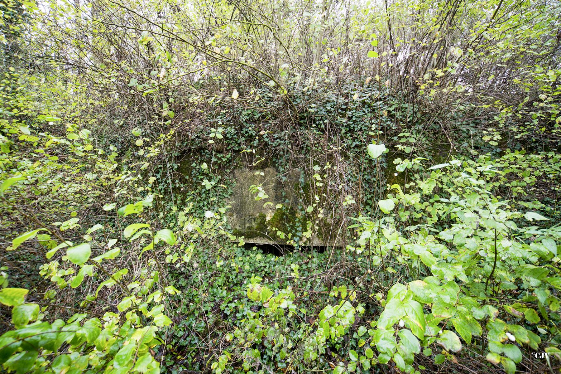 Ligne Maginot - B425 - CONDE 1 - (Blockhaus pour canon) -  - Lia VERMEULEN