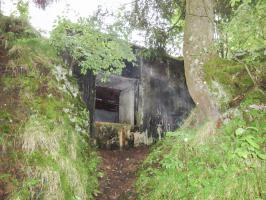 Ligne Maginot - B30 - FRAMBOURG OUEST - (Blockhaus pour canon) - 