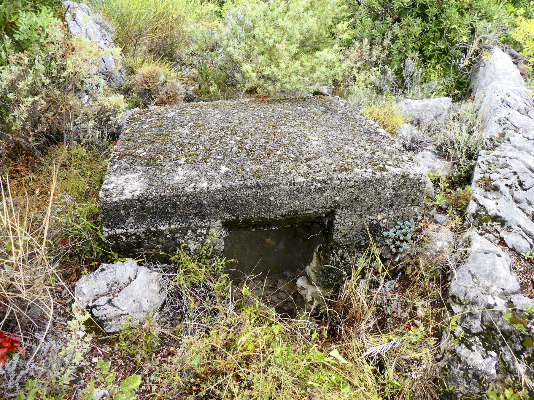 Ligne Maginot - CIME DE BIANCON - (Observatoire d'artillerie) - Mini blockhaus indéterminé