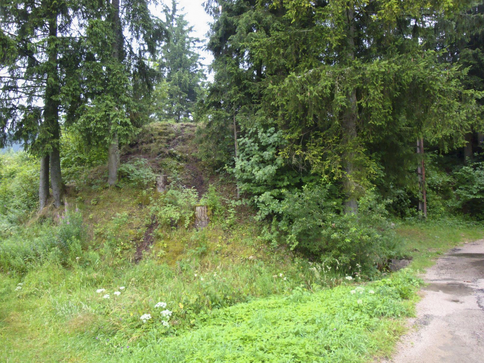 Ligne Maginot - B30 - FRAMBOURG OUEST - (Blockhaus pour canon) - 