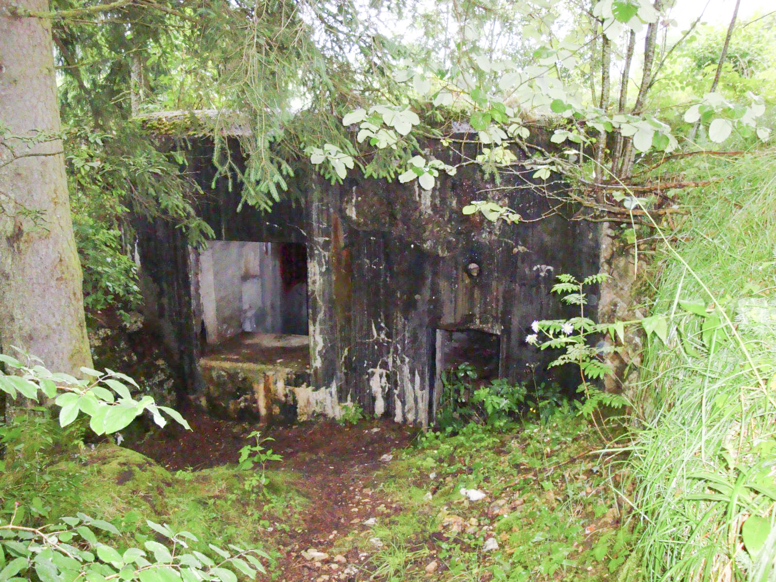 Ligne Maginot - B30 - FRAMBOURG OUEST - (Blockhaus pour canon) - 