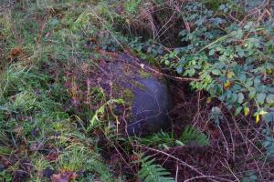 Ligne Maginot - RAMSTEIN OUEST - (Casemate d'infanterie) - La cloche JM.
