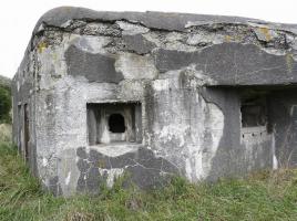 Ligne Maginot - B445 - LA VOIE-NOIRE - (Blockhaus pour canon) - 