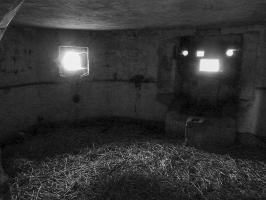 Ligne Maginot - B445 - LA VOIE-NOIRE - (Blockhaus pour canon) - 