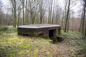 Ligne Maginot - BA17 - CARREFOUR ALEXANDRE - (Blockhaus pour canon) - 