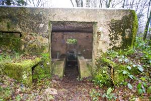 Ligne Maginot - BA17 - CARREFOUR ALEXANDRE - (Blockhaus pour canon) - 