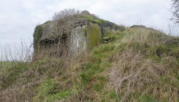 Ligne Maginot - B461 - RESERVOIR D'ONNAING - (Blockhaus pour canon) - 