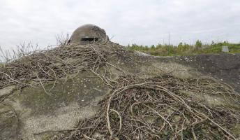 Ligne Maginot - B461 - RESERVOIR D'ONNAING - (Blockhaus pour canon) - 