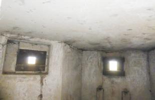 Ligne Maginot - B464 - BARAQUE DES CHASSEURS (PDS) - (Abri actif) - 