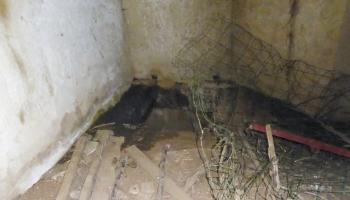 Ligne Maginot - B464 - BARAQUE DES CHASSEURS (PDS) - (Abri actif) - Puits d'accès au sous-sol