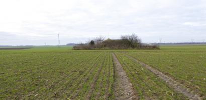 Ligne Maginot - B465 - BARAQUE DES CHASSEURS - (Blockhaus pour canon) - 