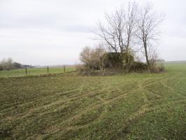 Ligne Maginot - B490 - CURGIES SUD-EST - (Blockhaus pour canon) - Situé dans son environnement, dans un champ cultivé, à proximité d'un pré clôturé.