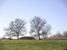Ligne Maginot - B512 - WARGNIES le GRAND Ouest - Situé dans son environnement.