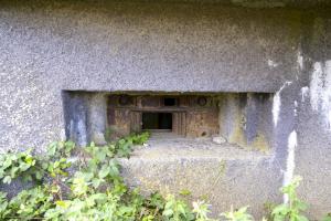 Ligne Maginot - B521 - STATION DE WARGNIES - (Blockhaus pour canon) - 