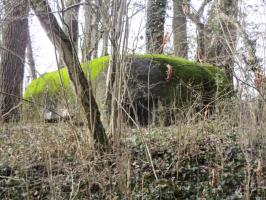 Ligne Maginot - B527 - MOULIN D'EN BAS SUD - (Blockhaus pour canon) - Blockhaus situé dans un bois.