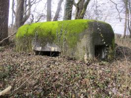 Ligne Maginot - B527 - MOULIN D'EN BAS SUD - (Blockhaus pour canon) - Blockhaus situé dans un bois.