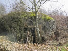 Ligne Maginot - B529 - BOIS DE LA FERRIERE SUD - (Blockhaus pour canon) - Blockhaus situé dans un pré clôturé.