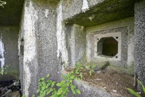Ligne Maginot - B490 - CURGIES SUD-EST - (Blockhaus pour canon) - Le créneau
