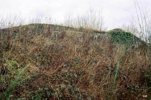 Ligne Maginot - TRIEUX D'ESCAUPONT EST - C10 - (Casemate d'infanterie) - 