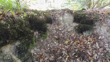 Ligne Maginot - HOCHWALD HAUT ARRIéRE - (Observatoire d'artillerie) - Observatoire sans sa guérite
Reste du rocaillage