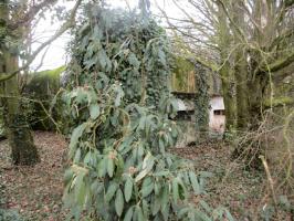Ligne Maginot - A85 - PONT-ALLANT SUD - (Blockhaus lourd type STG / STG-FCR - Double) - 