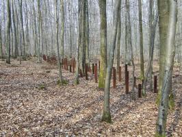 Ligne Maginot - NEUBACH  (RéSEAU DE RAILS) - (Obstacle antichar) - 