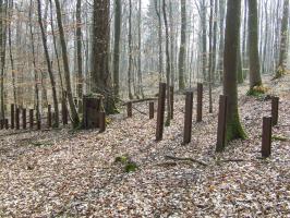 Ligne Maginot - NEUBACH  (RéSEAU DE RAILS) - (Obstacle antichar) - 