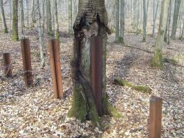 Ligne Maginot - NEUBACH  (RéSEAU DE RAILS) - (Obstacle antichar) - 