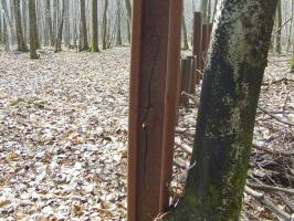 Ligne Maginot - NEUBACH  (RéSEAU DE RAILS) - (Obstacle antichar) - 