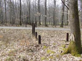 Ligne Maginot - NEUBACH  (RéSEAU DE RAILS) - (Obstacle antichar) - 