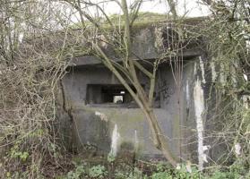 Ligne Maginot - B533 - RUISSEAU DU BULTIAU SUD - (Blockhaus pour canon) - 