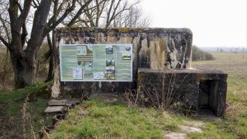 Ligne Maginot - DIGUE DE REMERING 1 - R114 - (Blockhaus pour arme infanterie) - La façade arrière donnant sur le barrage