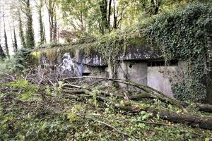 Ligne Maginot - ACA2 - STOCKEN - (Casemate d'artillerie) - La casemate n'est plus entretenue et la végétation a repris le dessus
2021