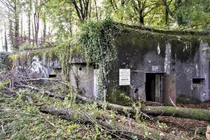 Ligne Maginot - ACA2 - STOCKEN - (Casemate d'artillerie) - La casemate n'est plus entretenue et la végétation a repris le dessus
