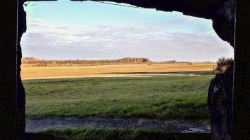 Ligne Maginot - BAMBIDERSTROFF NORD - C70 - (Casemate d'infanterie) - Vue depuis le créneau JM/47
L'ouvrage du Bambesch se trouve dans le bois en face