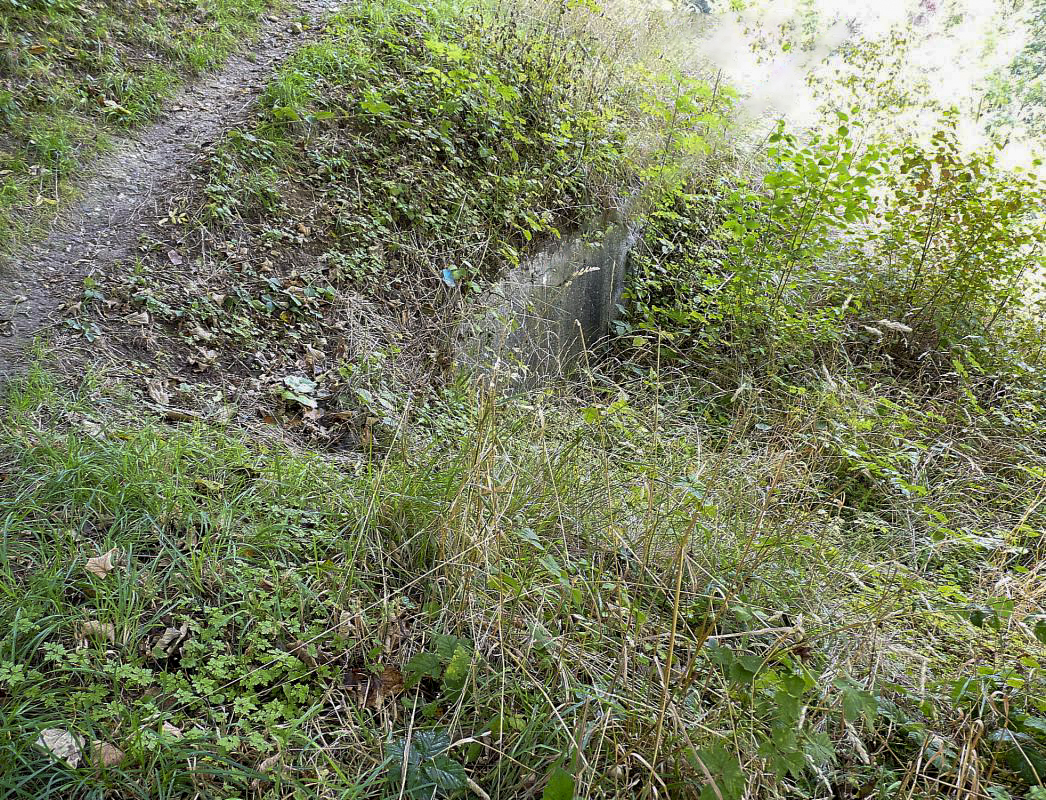 Ligne Maginot - B429 - CONDE 8 - (Blockhaus pour arme infanterie) -  - Sylvie Laure LAMBERT