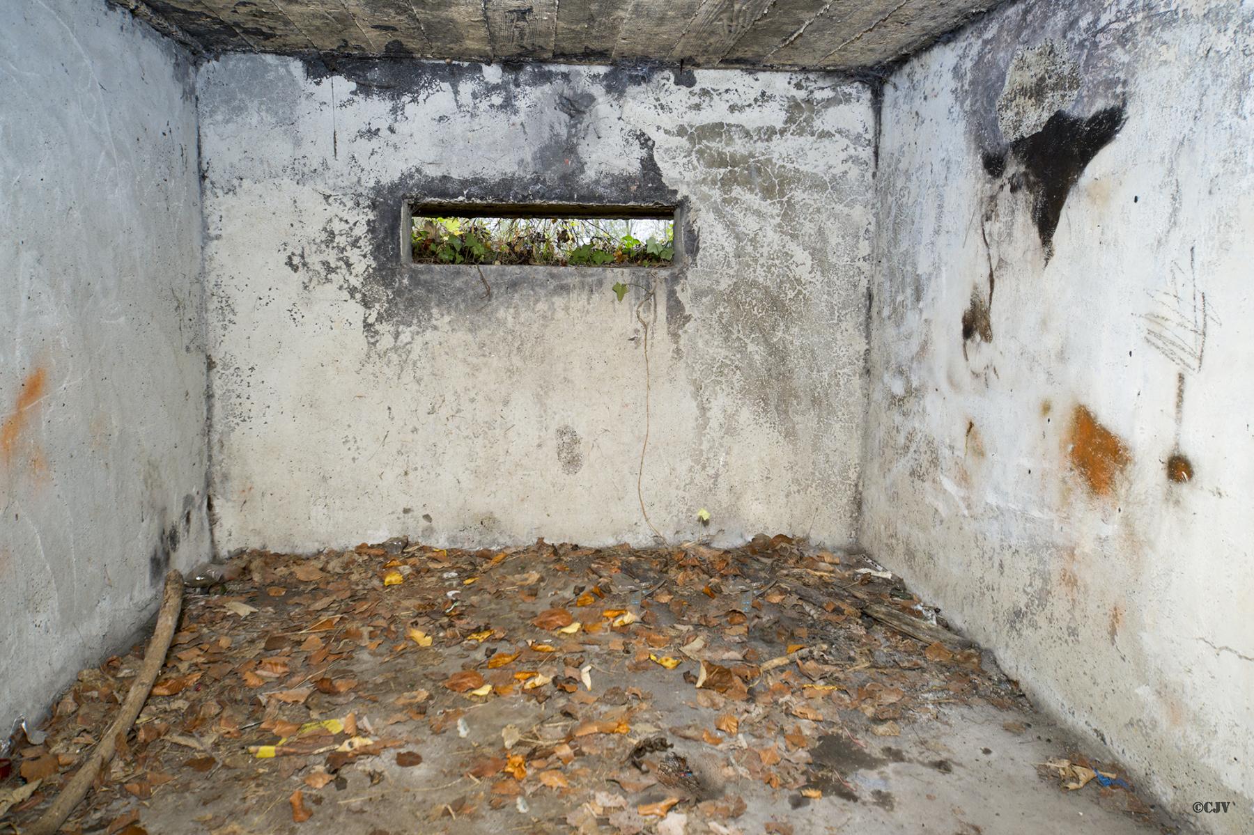 Ligne Maginot - B431 - CONDE 11 - (Blockhaus pour arme infanterie) -  - Lia VERMEULEN