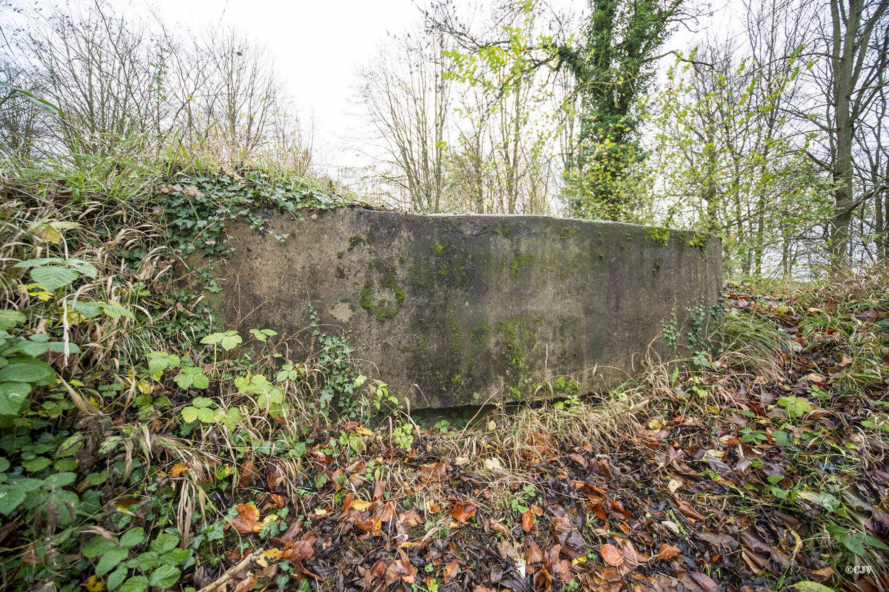 Ligne Maginot - B431 - CONDE 11 - (Blockhaus pour arme infanterie) -  - Lia VERMEULEN