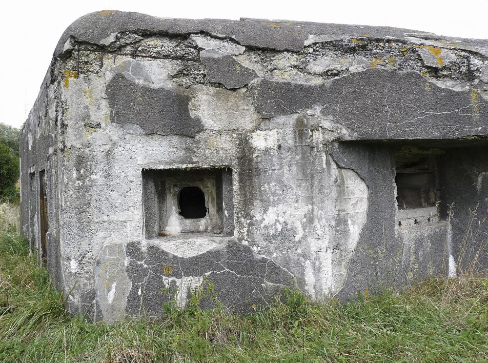 Ligne Maginot - B445 - LA VOIE-NOIRE - (Blockhaus pour canon) - 