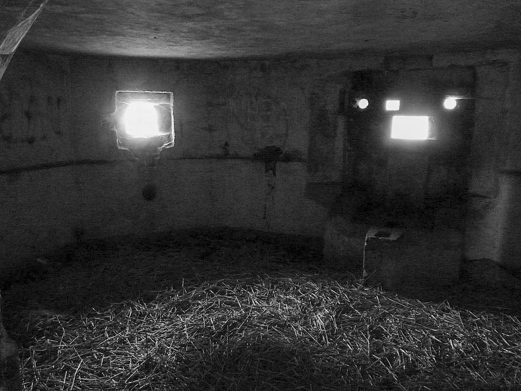 Ligne Maginot - B445 - LA VOIE-NOIRE - (Blockhaus pour canon) - 