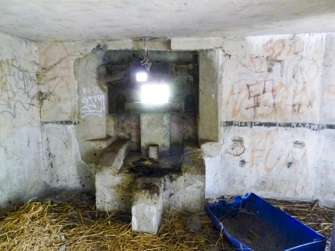 Ligne Maginot - B445 - LA VOIE-NOIRE - (Blockhaus pour canon) - 