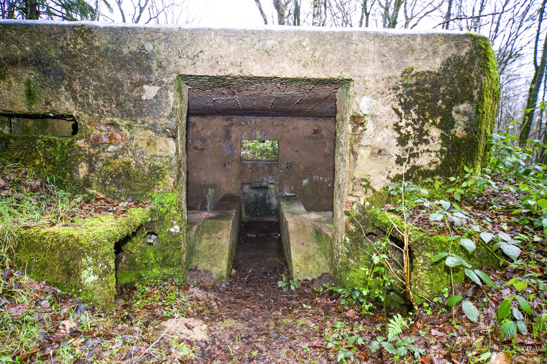 Ligne Maginot - BA17 - CARREFOUR ALEXANDRE - (Blockhaus pour canon) - 