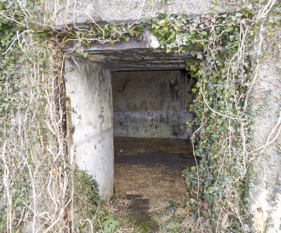 Ligne Maginot - B461 - RESERVOIR D'ONNAING - (Blockhaus pour canon) - 