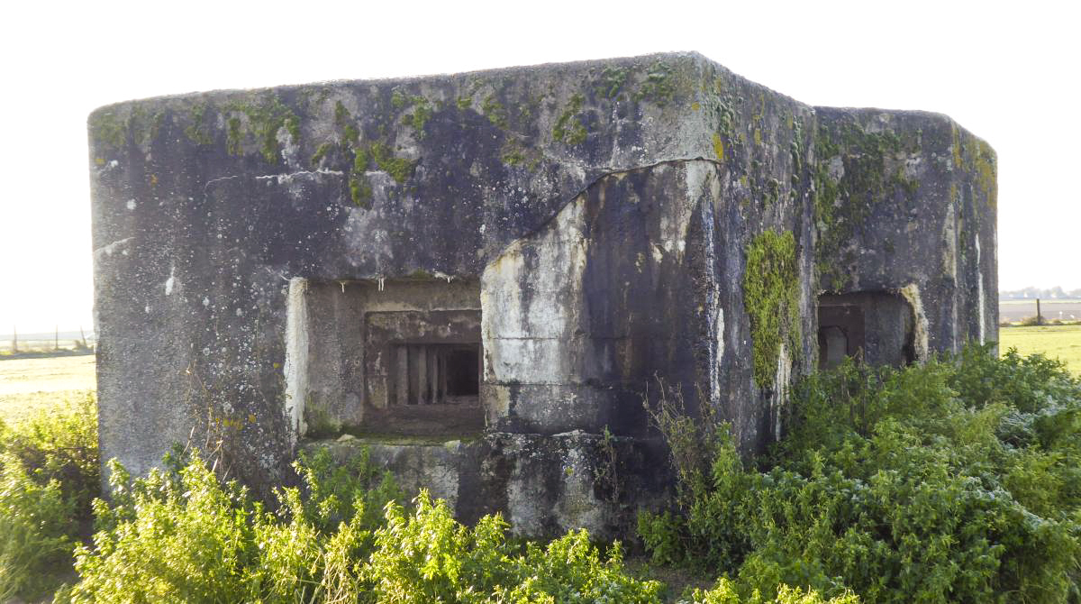Ligne Maginot - B464 - BARAQUE DES CHASSEURS (PDS) - (Abri actif) - Vue frontale-gauche