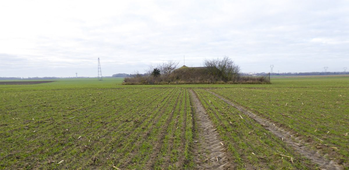 Ligne Maginot - B465 - BARAQUE DES CHASSEURS - (Blockhaus pour canon) - 