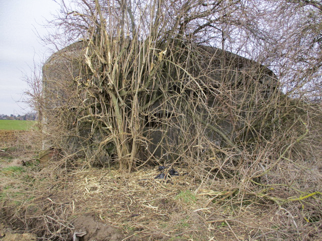 Ligne Maginot - B481 - FERME DU MOULIN - (Blockhaus pour canon) - 