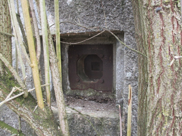 Ligne Maginot - B481 - FERME DU MOULIN - (Blockhaus pour canon) - 